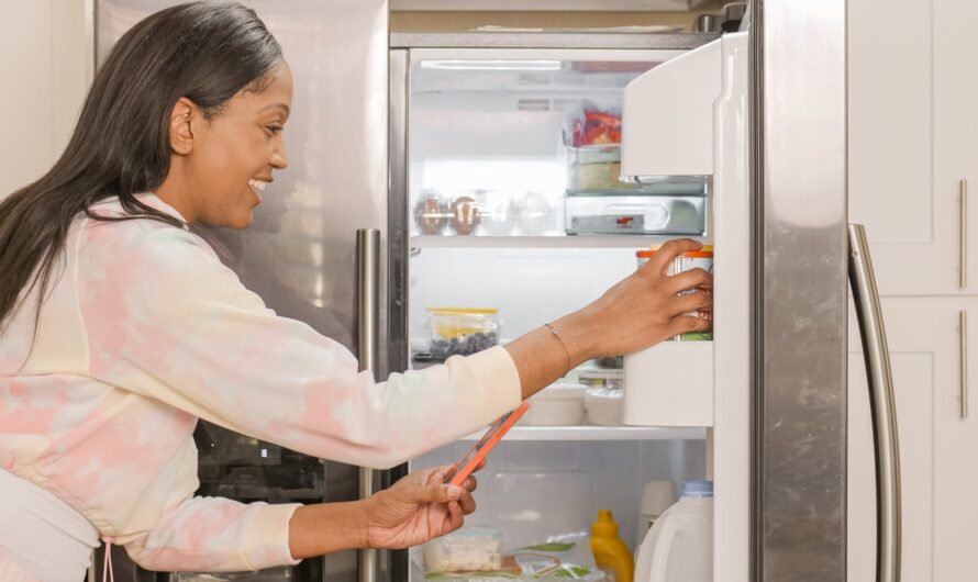 Which is the Most Popular Fridge in India in 2021, and Why?